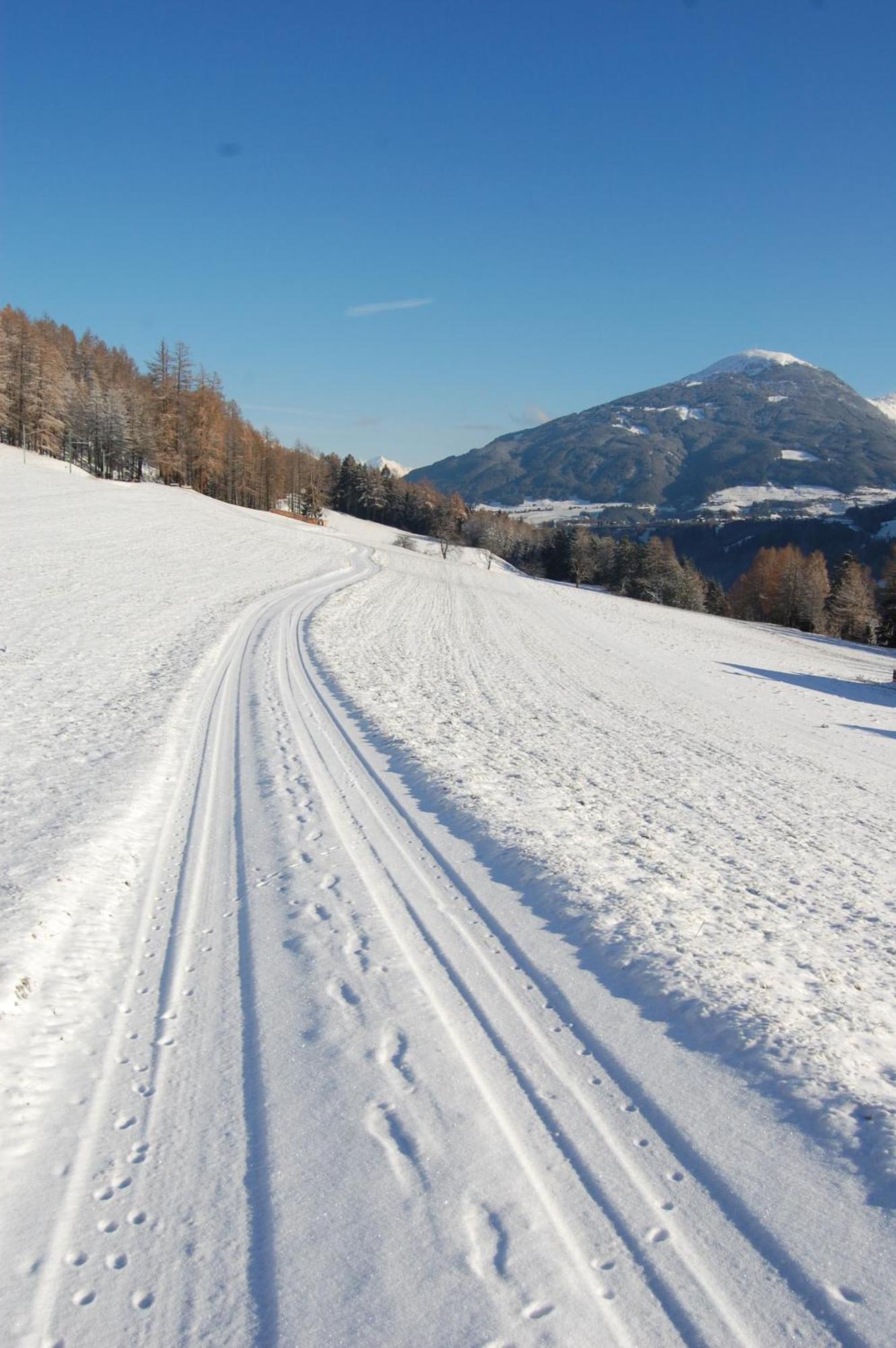 Ferienwohnungen Unterluimes Telfes im Stubai Eksteriør billede